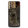 Britische Kurzhaarkatze Fall für Samsung A24 A12 A14 A32 A50 A70 A20E A20S A10 A10S A22 A30 A40 A34 A54 A42 A52 5G A04s A72 Abdeckung