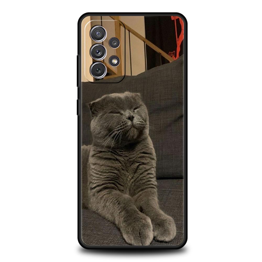 Britische Kurzhaarkatze Fall für Samsung A24 A12 A14 A32 A50 A70 A20E A20S A10 A10S A22 A30 A40 A34 A54 A42 A52 5G A04s A72 Abdeckung