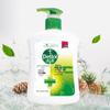 Dettol Hand Wash Moisturizing & Pine Scent Twin Pack