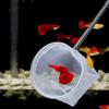 Extendable Handle Aquarium Dip Net Stainless Steel Fishtanks Cleaning Net  Aquarium