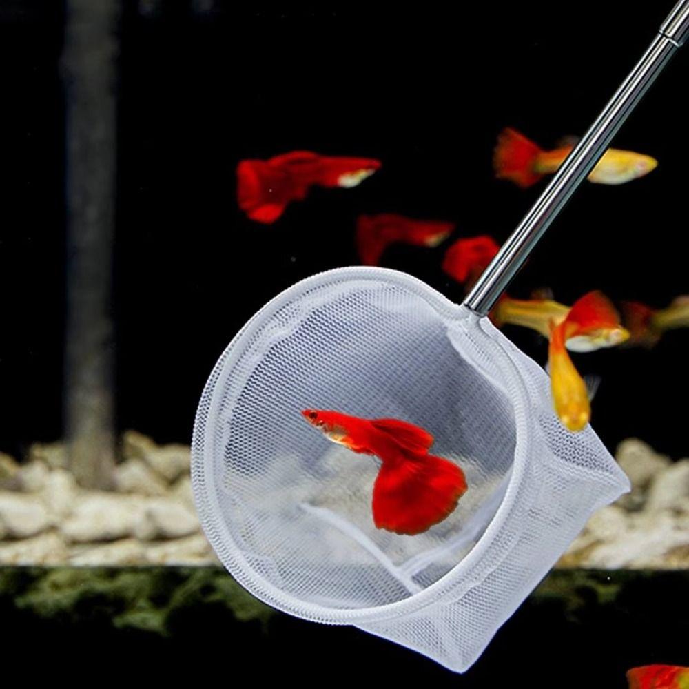Extendable Handle Aquarium Dip Net Stainless Steel Fishtanks Cleaning Net Aquarium