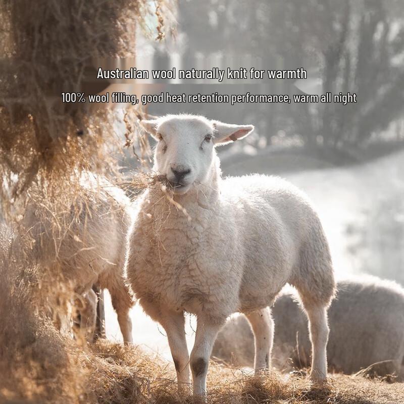 LUOLAI Silk-Wool 2-in-1 Duvet Set