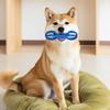 Cães – Brinquedos para cães