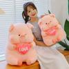 Cute Love Lulu Pig Doll Cute Pink Pig Plush Toy Children Sleeping Pillow Doll