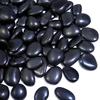 300g Sassi Naturali Neri Lucidati 2-3cm Rocce Decorazione Paesaggistica Cortile Sassi per Vasi Piante Acquario ZSY