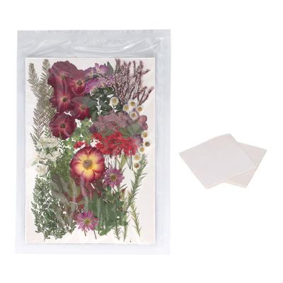 100 Pezzi Fiori Secchi Pressati Foglie Kit Materiale per Stampi in Resina Scrapbooking Artigianato Artistico