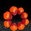 Sea Fishing Wutong Wood Insertable Luminous Stick Electric Fishing Float Buoy Fishing Tackle