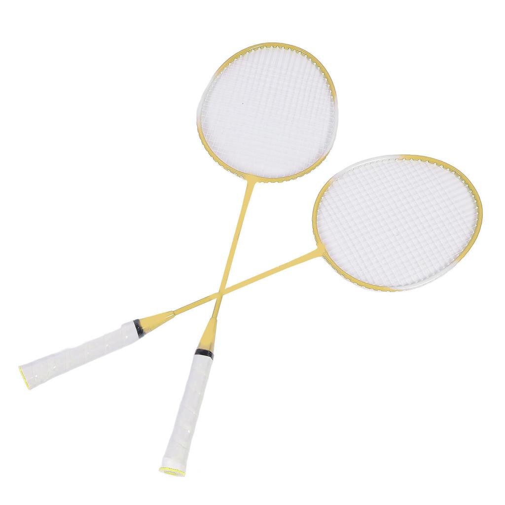 2 Player Badminton Set Low Vibration Strong Elasticity Iron Alloy Badminton Rackets Set with 3 Nylon Shuttlecocks Carry