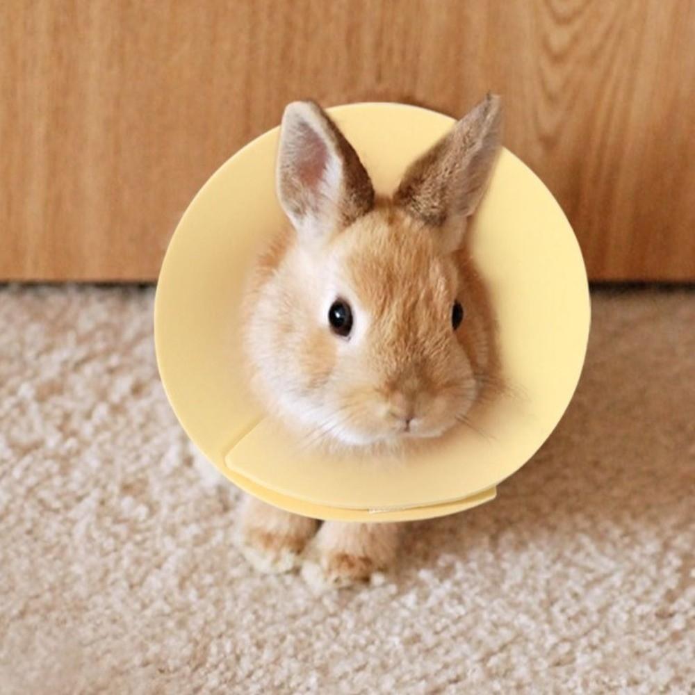 Coleira Anti-Lambedura Ajustável Coleira Protetora Anti-Mordida para Pássaro Hamster Coelho