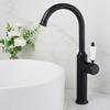Antique Black Gold European-Style Rotating Copper Faucet with Chrome Plating for Kitchen Sink
