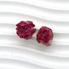 2 Pcs Real Rose Charms Set Rustic Natural Jewelry Making Material for DIY Earrings Boho Style Jewelry Crafting