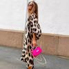 Tooxika Autumn New Fashion Leopard Print V-neck Loose Dress Long Sleeve Printed Long Dress