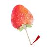 Fruit Print Fan with Wooden Long Handle Portable Lightweight Outdoor Travel Camping