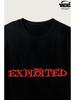 Breaking Benjamin T-shirt