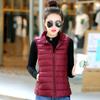 2024 Autumn Women's Lightweight Stand Collar Down Vest: Stylish Short Casual Fashion