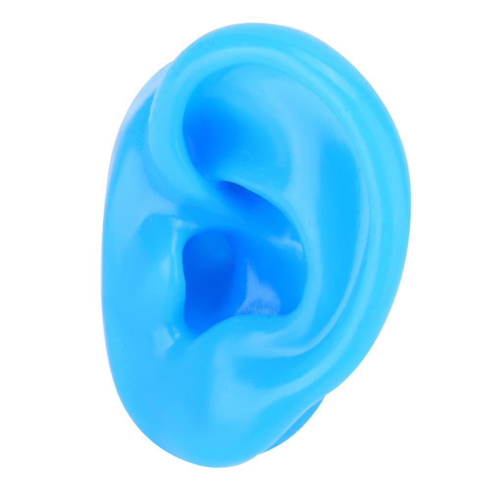 Soft Silicone Simulation Left Human Ear Model Ear Display Teaching Aid Model