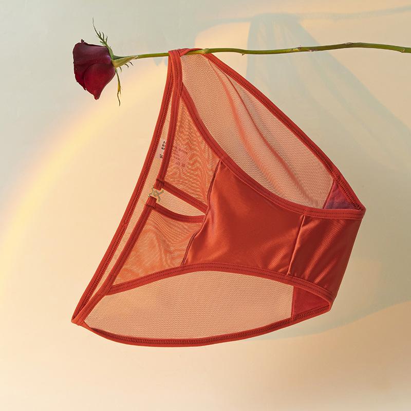 Nuevos Braguitas de Verano para Mujer Suaves Ligeras de Satén Encaje Malla Semitransparentes Huecas