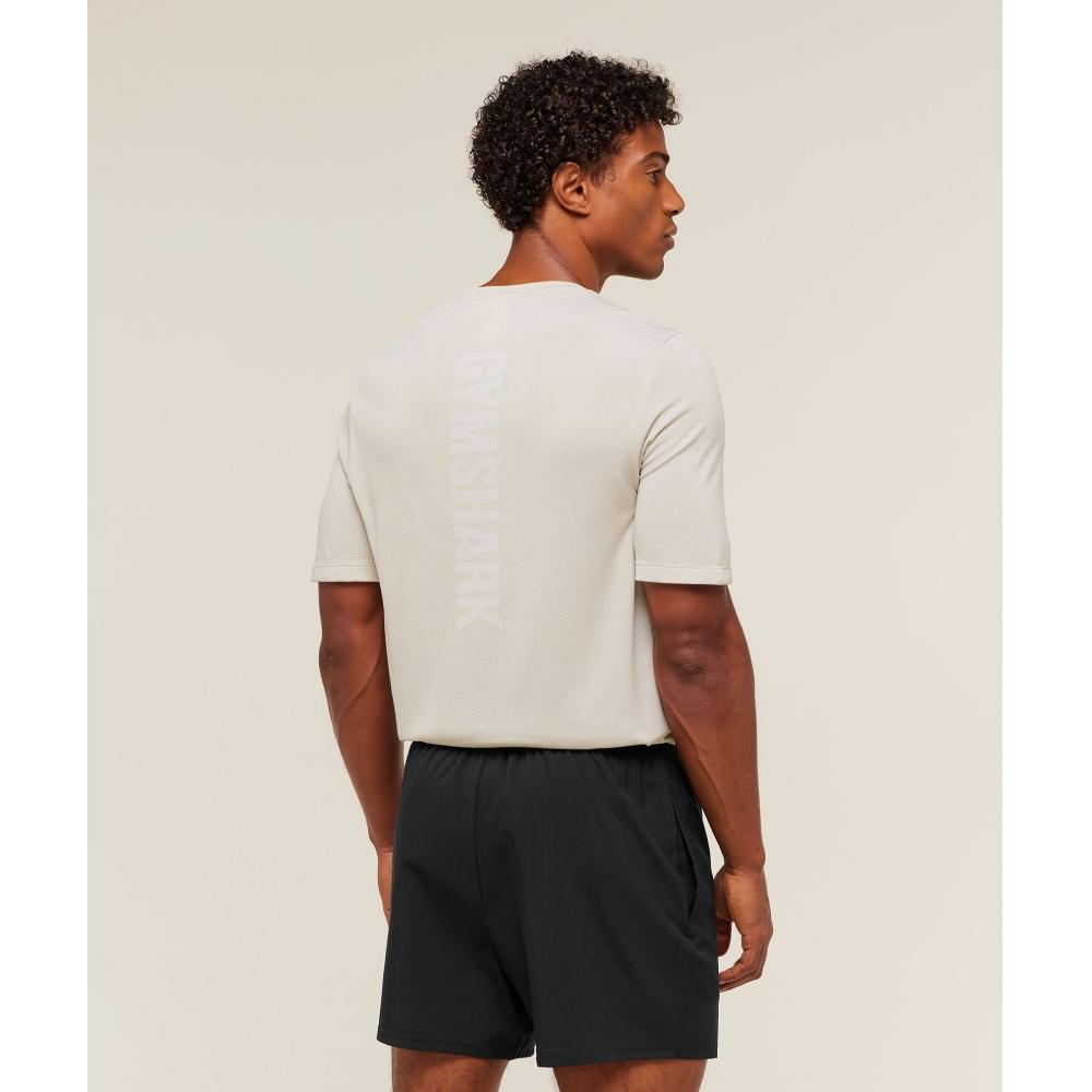 Gymshark LighTweighT Seamless T shirT Pebble Grey whiTe A2c7m Gcf1