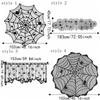 Dark Style Halloween Tablecloth Hand Washable Bat Curtain Creative Lace Curtain  Door Decor