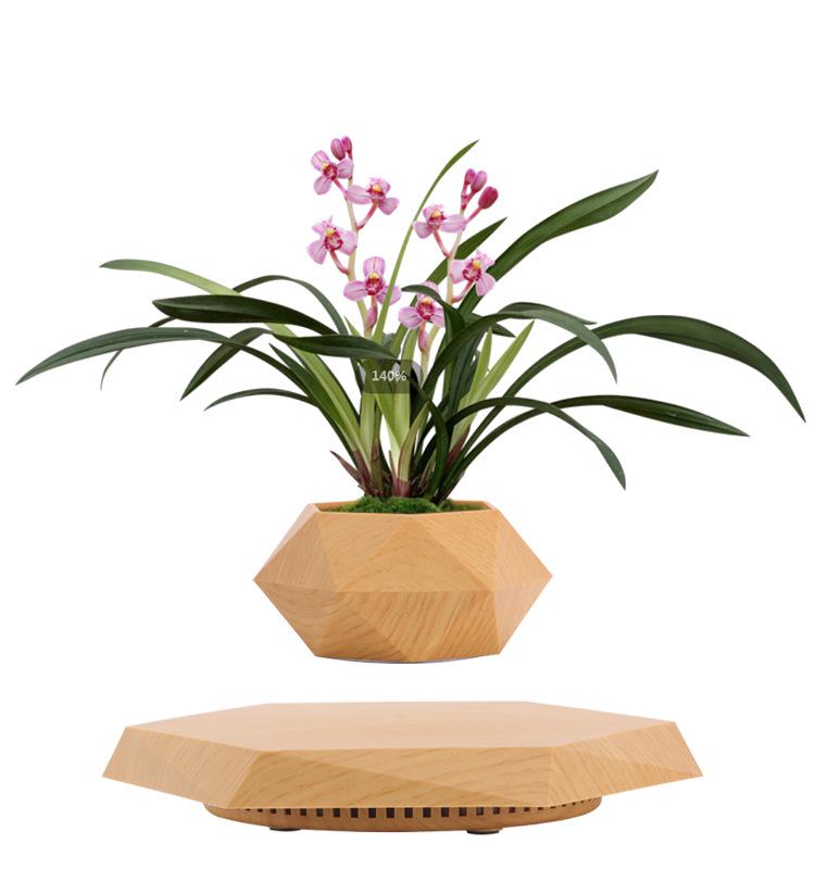 Creative Magnetic Levitation Potted Bonsai Plants