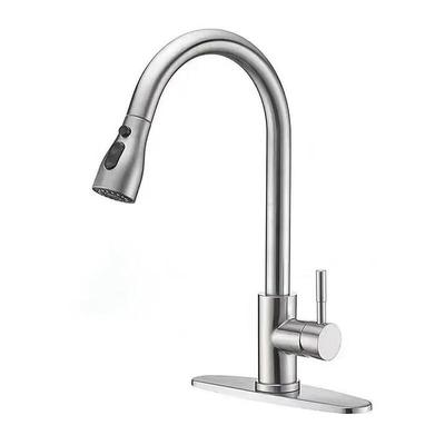 304 Stainless Steel Pull-Out Kitchen Faucet