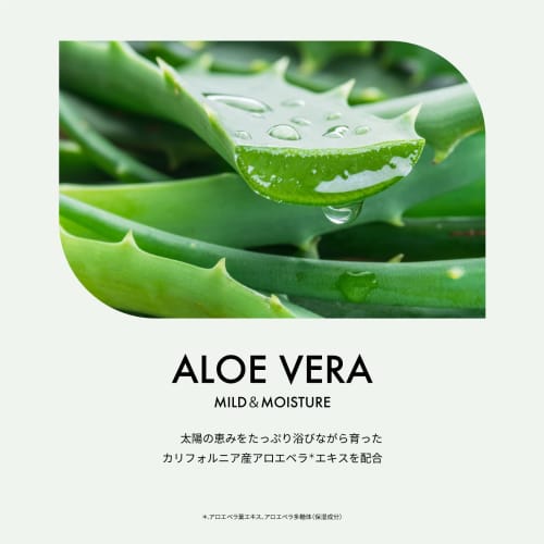 [NATURE REPUBLIC OFFICIAL] Nature Republic Mild & Moisture Aloe Big Toner 500ml Large Capacity Bacterial Lotion Thick Texture Genuine Korean Cosmetics