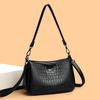Luxury Designer Ladies Handbags High Quality Leather Shoulder Bags for Women 2025 Female Crossbody Bag Purses and Handbags New