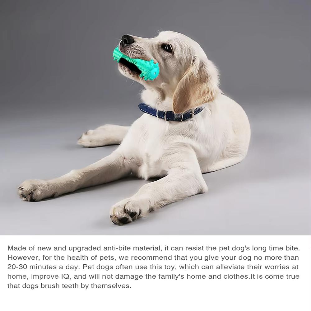 Pet Chewing Toys Lnteractive Training Rectangular Chew Squeaky Toy Elasticity Soft Pet Tooth Cleaning