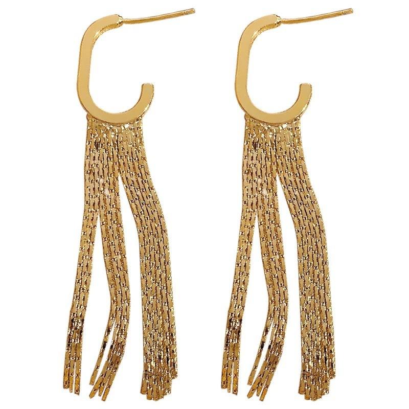 New Trendy 111 Silver Needle Long G-shaped Fringed Stud Earrings Women's Niche Design High-end Earrings Temperament Versatile Earrings