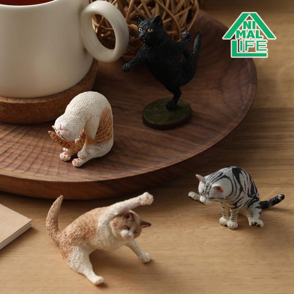 ANIMAL LIFE Yoga Cat 1BOX (8 Pieces)