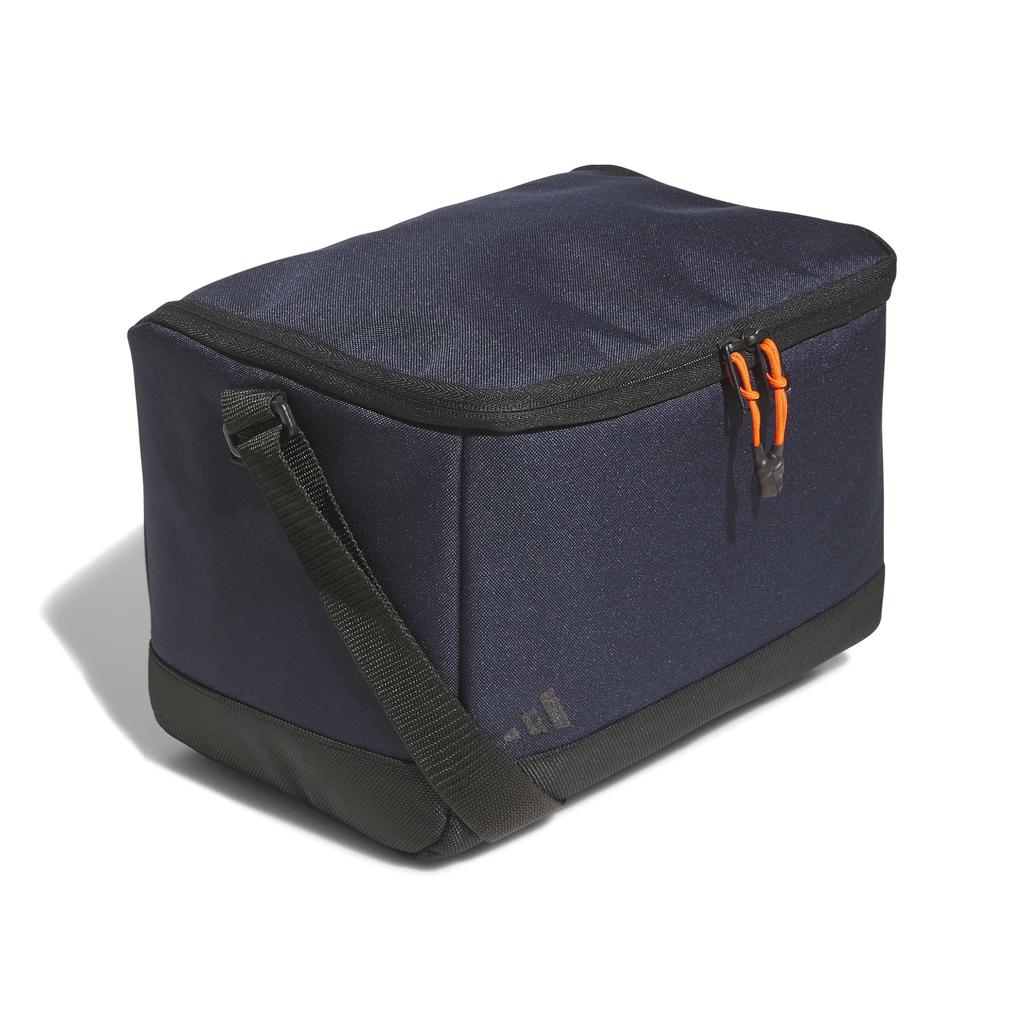 Cooler bag
