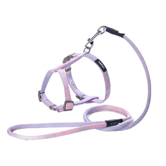 

Инструмент для тяги поводка для собаки, регулируемый нагрудный ремень, комплект поводка и шлейки для собаки