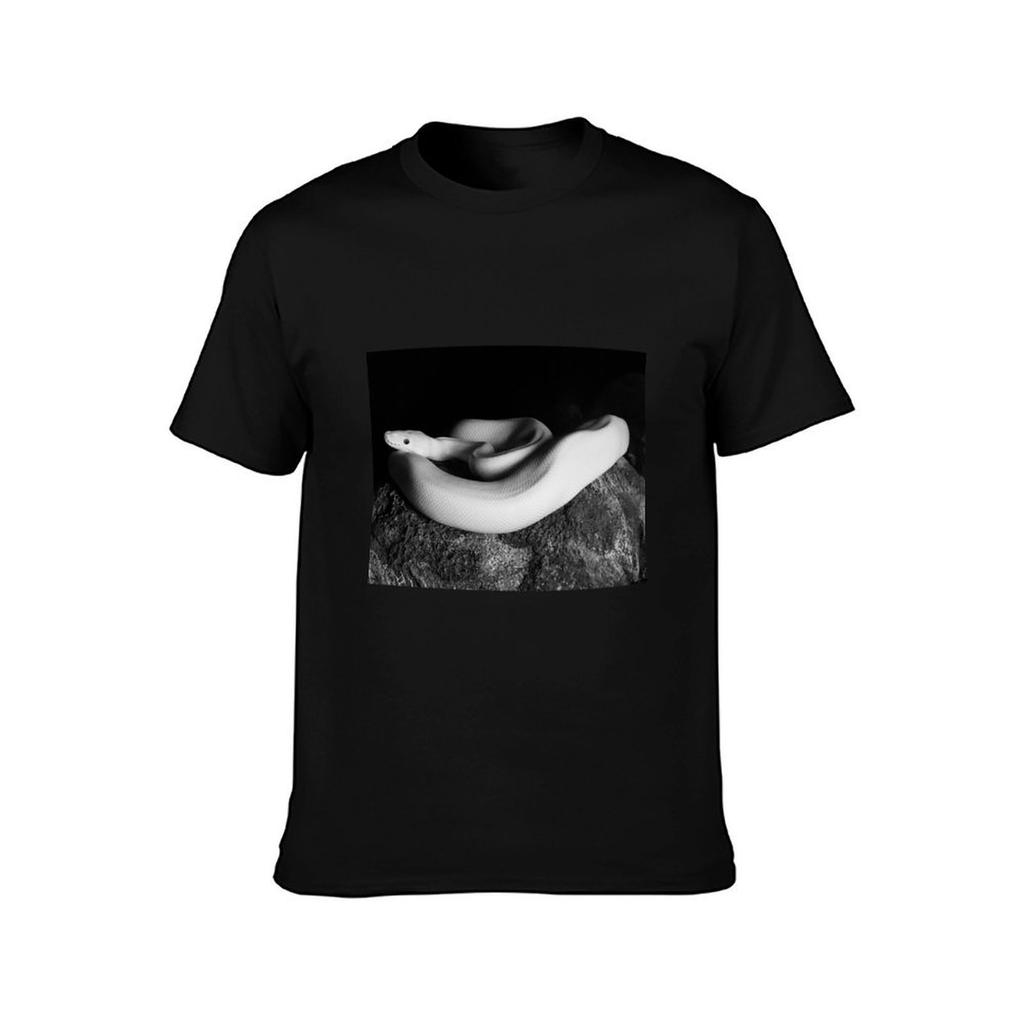 BW Yuki TShirt Casual Fashion Print Tee Top