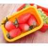 4Pcs Silicone Bento Box Rectangle Folding Lunch Bowl Food Storage Container Box 350 500 800 1200 ML