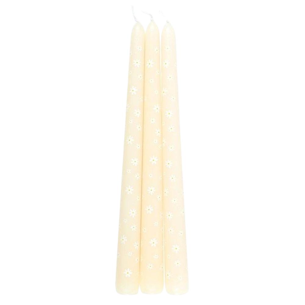 Something Different Carrot Patch Daisy Taper Candle (Pack of 3)
