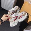 Fashion Autumn Sport Shoes for Women Lace-Up Casual Sneaker Breathable Wear Resistant 2024 Trend Fashion Women's Shoes Zapatillas Muje