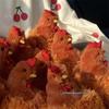 Cecil Chick Clooney Gallo Peluche Giocattolo di Peluche