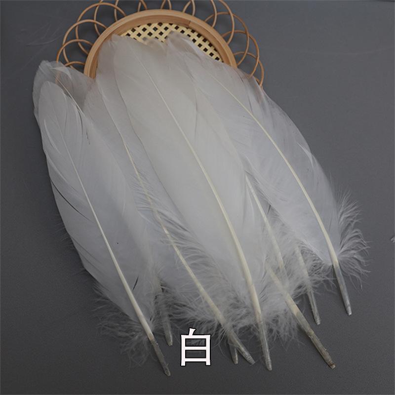 Barevná barvená velká husí pera pro DIY řemesla, ručně vyráběné dekorace a projekty pro mateřské školy