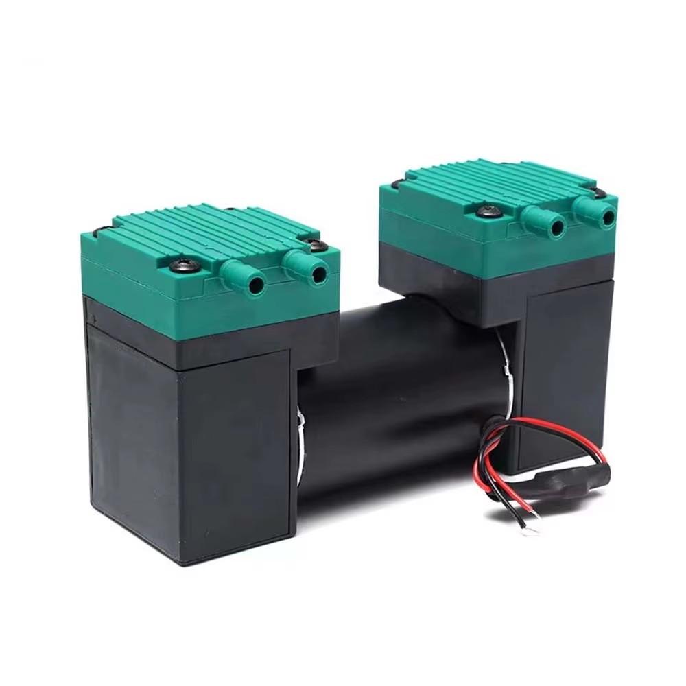 Micro Diaphragm Air Pump 12V/24V/220V Silent Vacuum Pump for Beauty Instrument, Medical Equipment & Laboratory Use