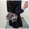 Podzimní a zimní nová vlasová taška dámská spona do vlasů z liščí srsti dámská taška s texturou ramenní crossbody oblačná taška trendy zahraniční obchod dámská taška
