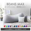 Iris Plaza Bead Cushion Cover, Replacement Cover for Beans MAX, Forest Green