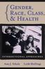 The Gender, Race, Class and Health : Intersectional Approaches Book