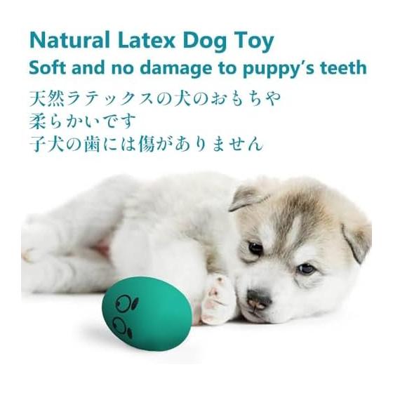 SCHITEC Dog Toy Ball Noise Chewing Toy Stress Relief Lack of Exercise Egg Shape Dog Toy Suitable for Puppies and Small Dogs (Diameter: 4.4cm)