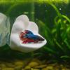 3D Printing Betta Fish Hammock with Suction Cup Betta Spawning Bed  Aquarium Decoration