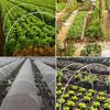 90PCS Greenhouse Hoops Set Reusable Bendable Fibreglass Grow Set With Protective Net Garden Plant Tunnel Arch Shed Bracket