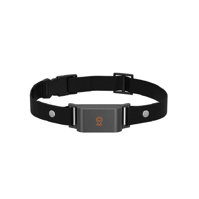 

Waterproof 4G SIM GPS Locator Long Standby Anti-loss Tracker Neck Collar Real Time Positioning for Dogs чёрный