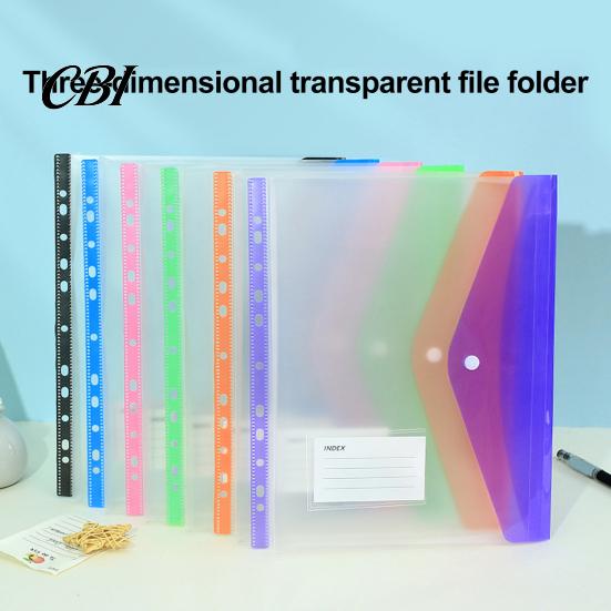 Binder Compatible Folder 11 Hole Clear File for A4 Binders, Colorful Plastic Document with Bag Snap Button & Label Slot, Transparent Project Organizer
