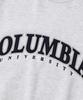 COLUMBIA UNIVERSITY Street Arch Heavy Terry Crew Neck_Light Gray