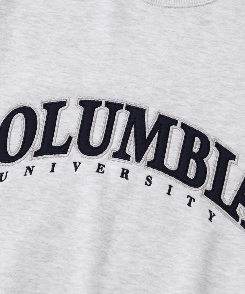 COLUMBIA UNIVERSITY Street Arch Heavy Terry Crew Neck_Light Gray