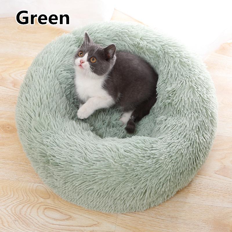 splendid pets mats